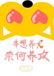 你是我的小确幸免费阅读