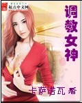 海贼之咸鱼大将