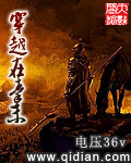 在线视频一二三区2024不卡