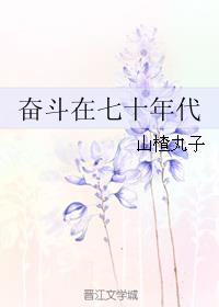 第六荷包辣肉集