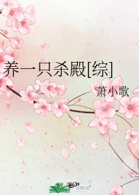 金典三级