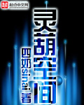 换身记