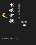YIN荡公主挨CAO记小说