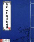 达芬奇