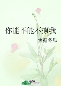 二见钟情电影在线观看免费