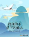 光遇简谱
