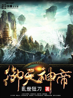 战地之王加里奥多少钱