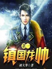 京城最强弃少叶傻子