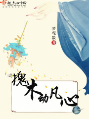 国模戴琳