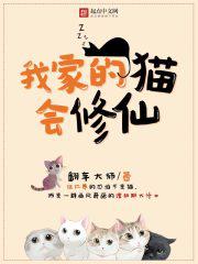 树莓小说