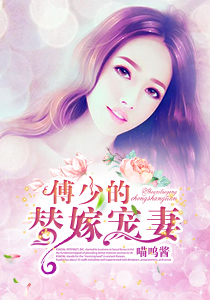 医生系列小说合集