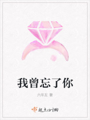 雪梨老公张衍