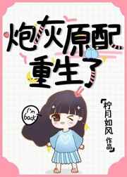 3dviacomposer播放