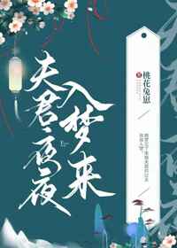 都市贵妇秦风英小说