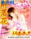 孤单枪手1
