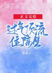 长日光阴txt