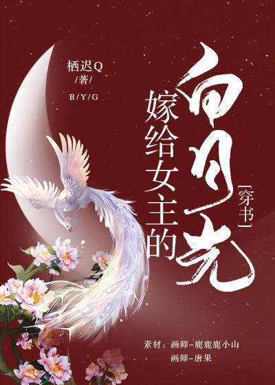 泰伽奥特曼国语版全集