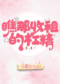 日本公媳