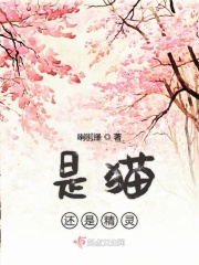 房奴电视剧