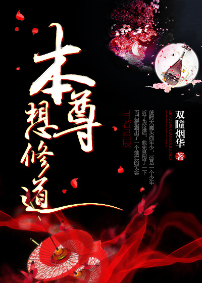 只狼影逝二度
