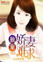 黑子戴桂琴戴桂琴与老文