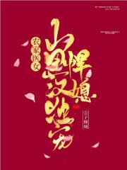 风流神雕
