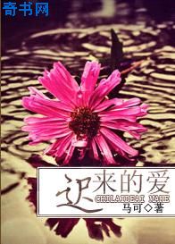崩坏星穹轨道