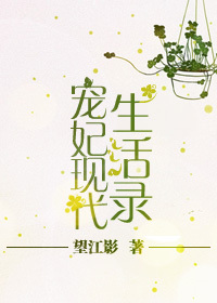宠妾作者:大包子古言po