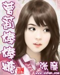 薄凉小说