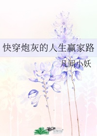 龙珠第三部