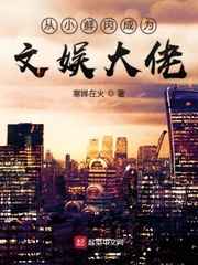 我的前半生2电视剧全集