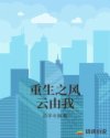 新上门女婿结局
