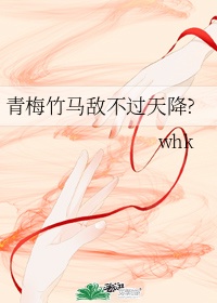 远山的呼唤福林初试1一20集