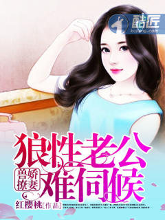 新世纪动漫网