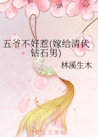 秦子易陆瑶
