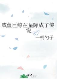pixiv年鉴β2024