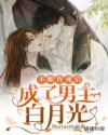 乱情家族