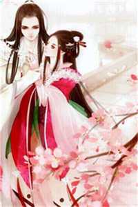 洛希极限小说