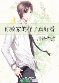 激情图片激情小说