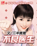 我的世界活塞门