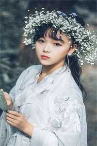 宝葫芦的秘密主要内容