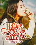 上瘾苏柔韩天