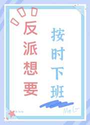 菊花用过与没用过区别