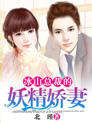 乱绝家廷小说