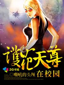 丢了猫千万别找为什么