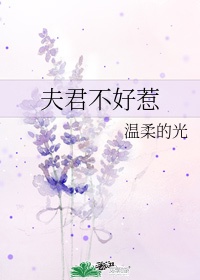 我要打飞8x8x影库下载