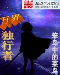 番号查询