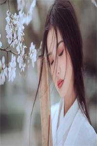 洪荒历