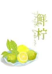 香蕉草莓绿巨人秋葵榴莲在线