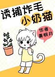 少年征服都市欲妇